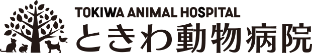 岸和田市で犬・猫・うさぎ・その他様々なペットのお悩みに対応する動物病院